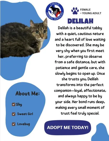 Delilah thumbnail 2