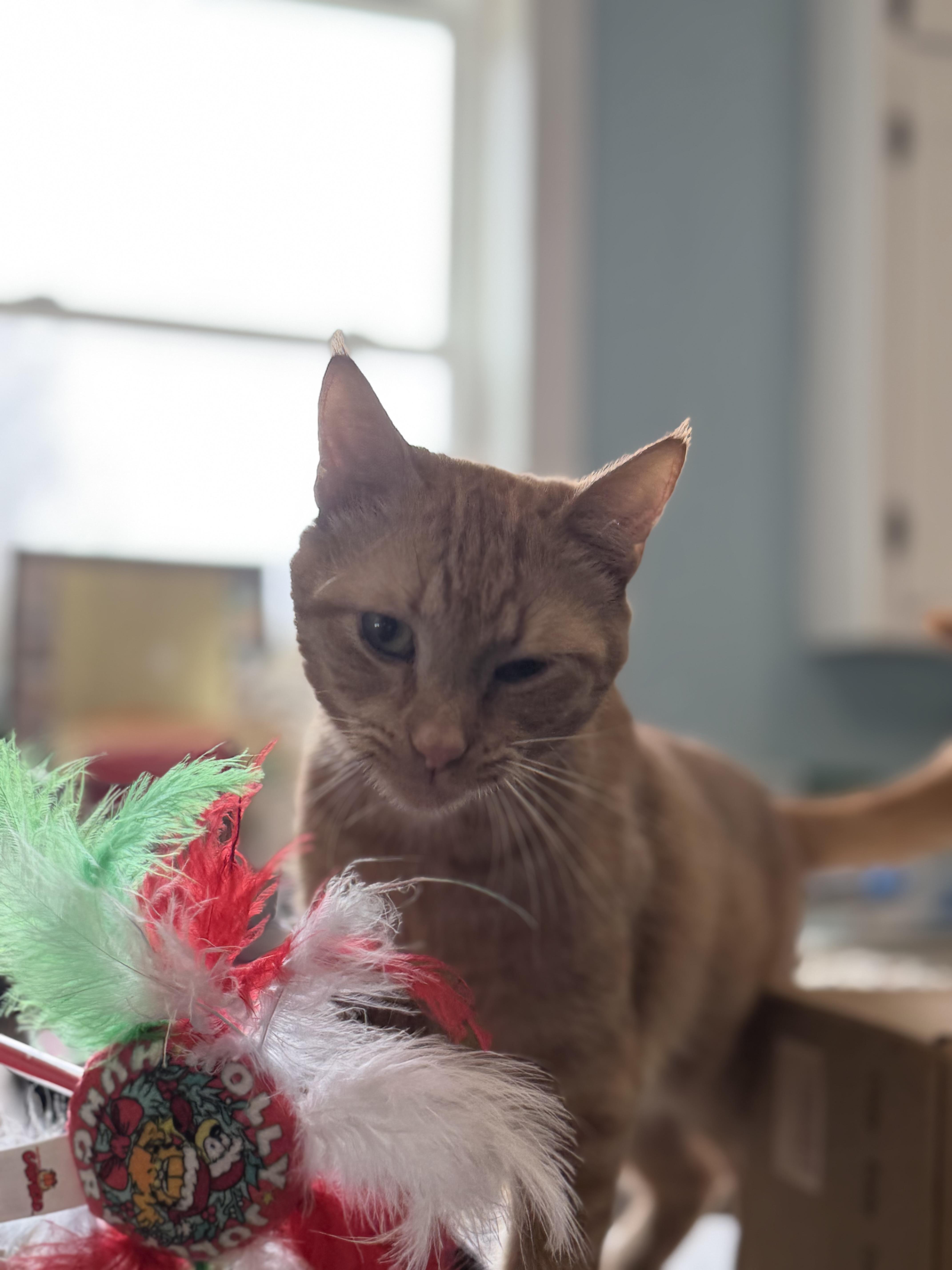 Marshall thumbnail 3