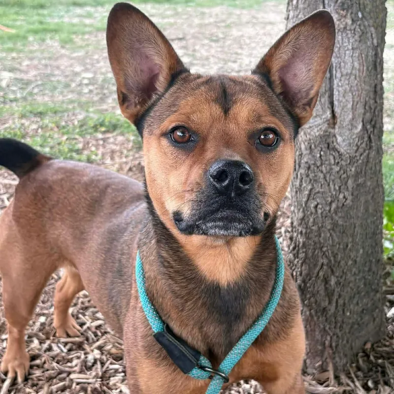 Farrah thumbnail 2