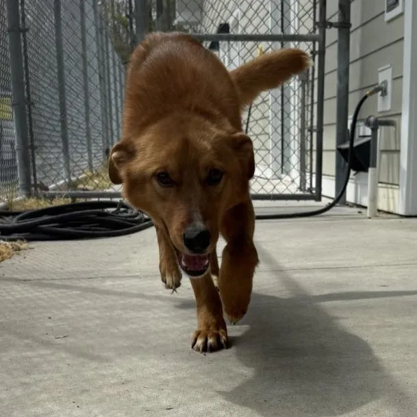 Mr. Tippy thumbnail 2