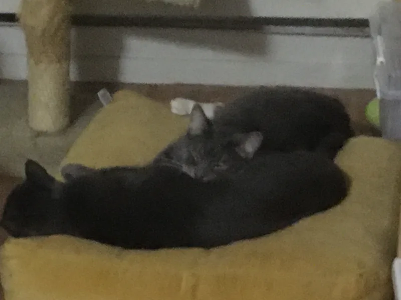 Marvin And Aretha thumbnail 2