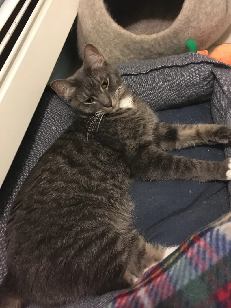 Marvin And Aretha thumbnail 3