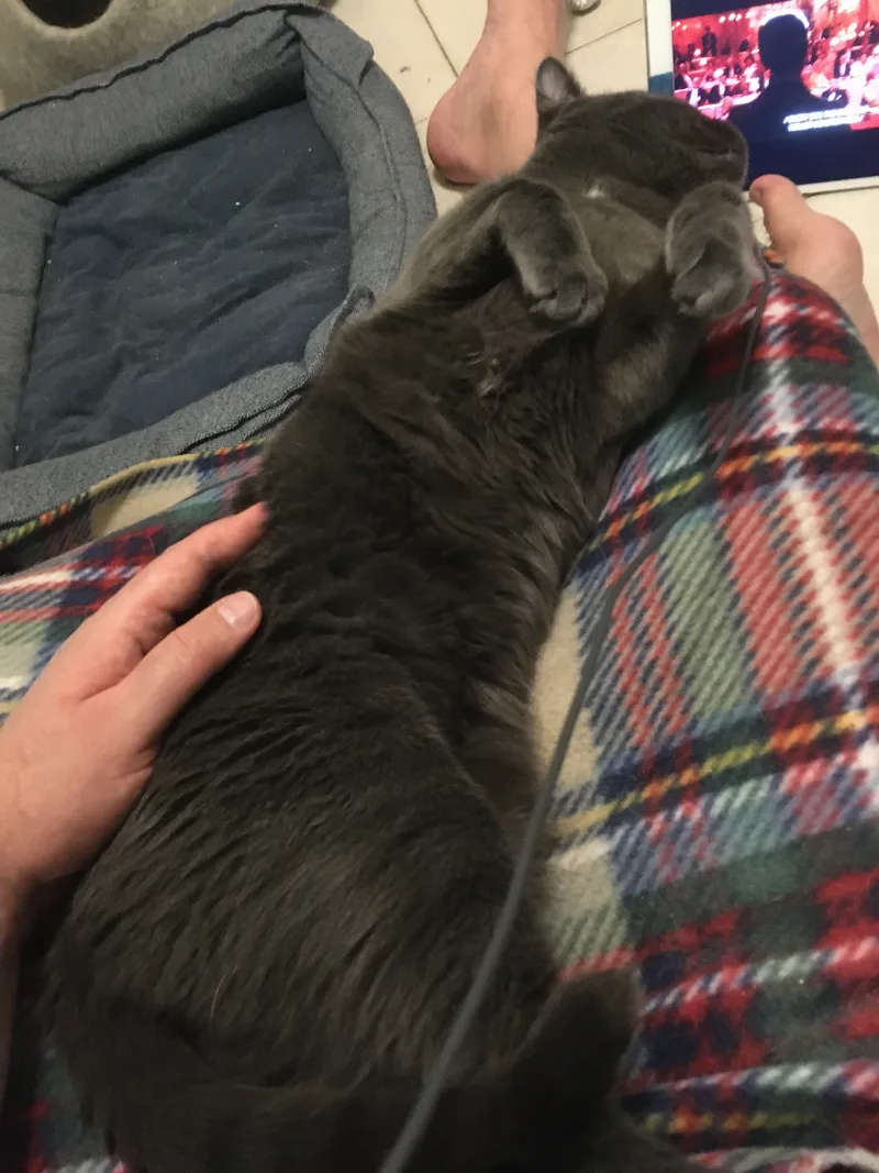 Marvin And Aretha thumbnail 4