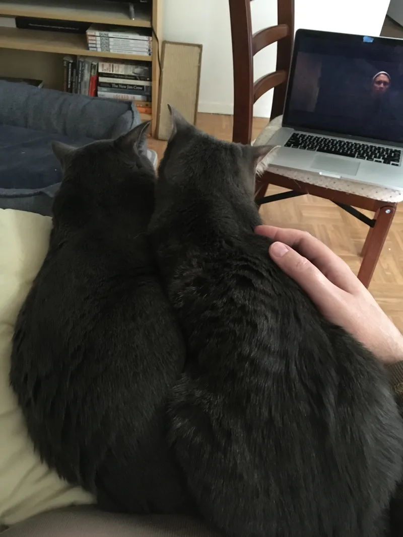 Marvin And Aretha thumbnail 5