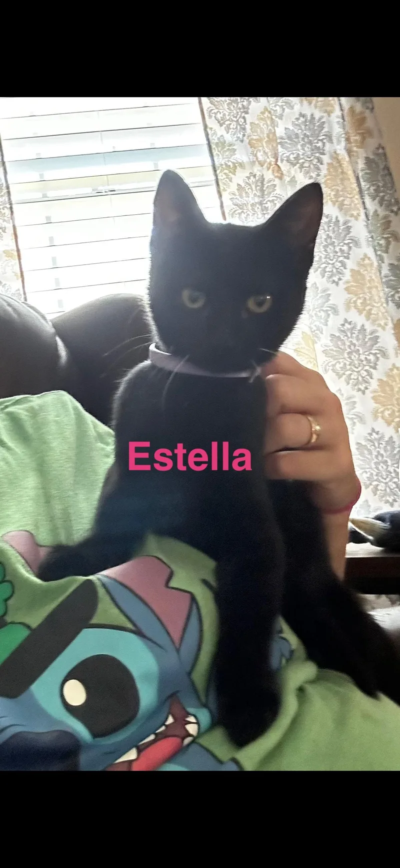 Estella
