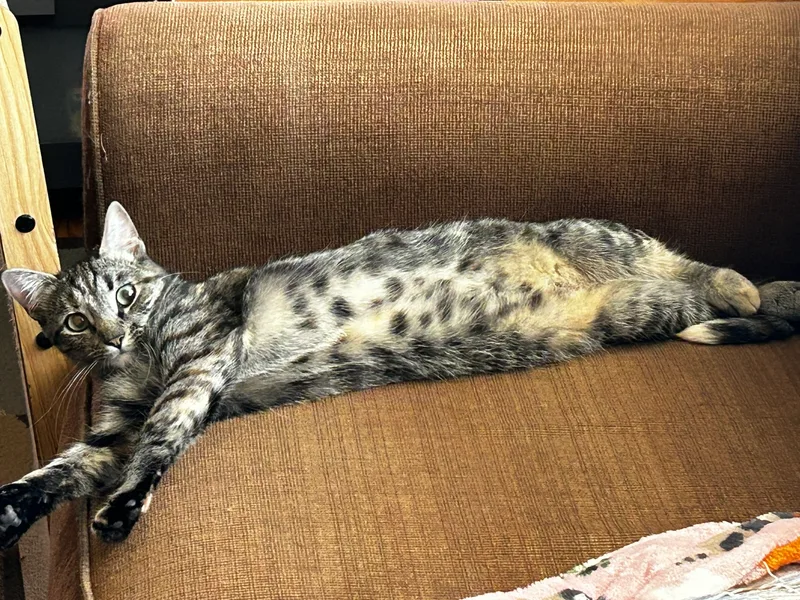 Charlene thumbnail 2