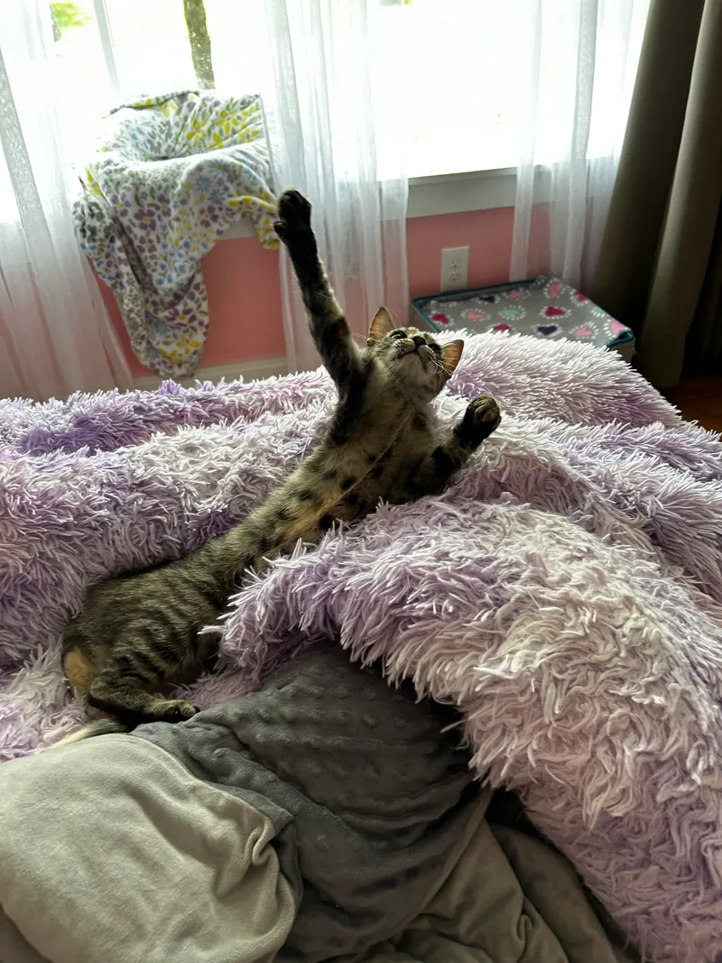 Charlene thumbnail 3