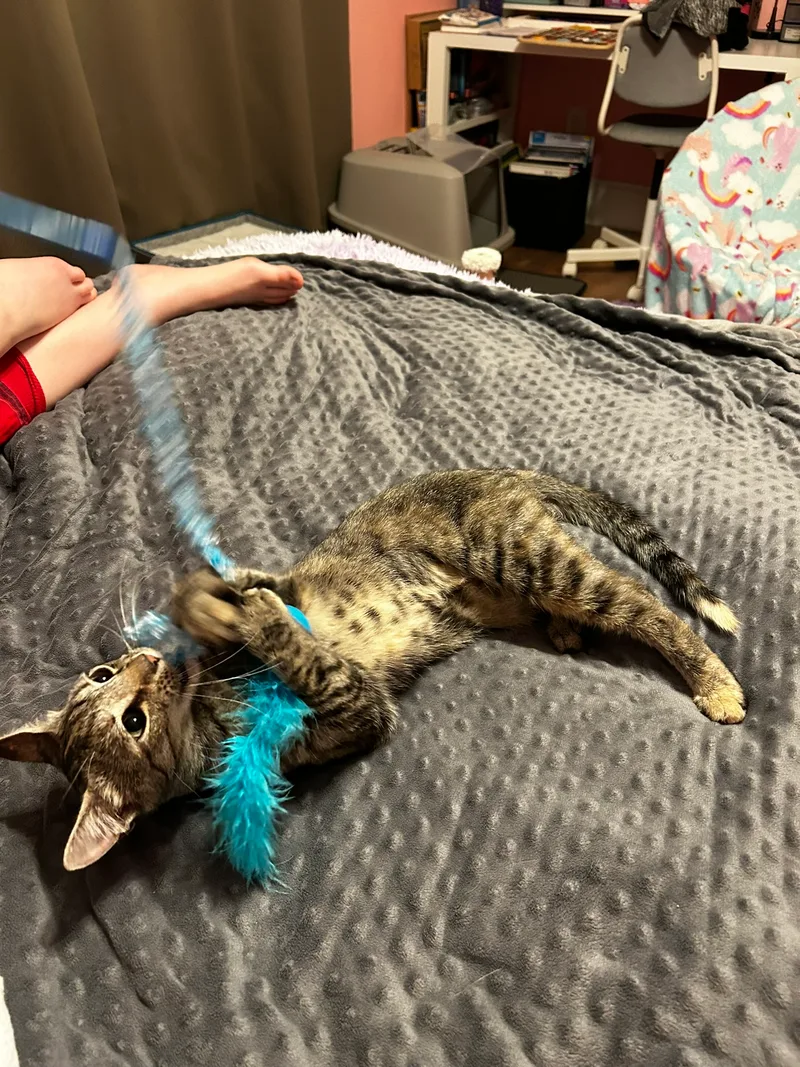 Charlene thumbnail 4