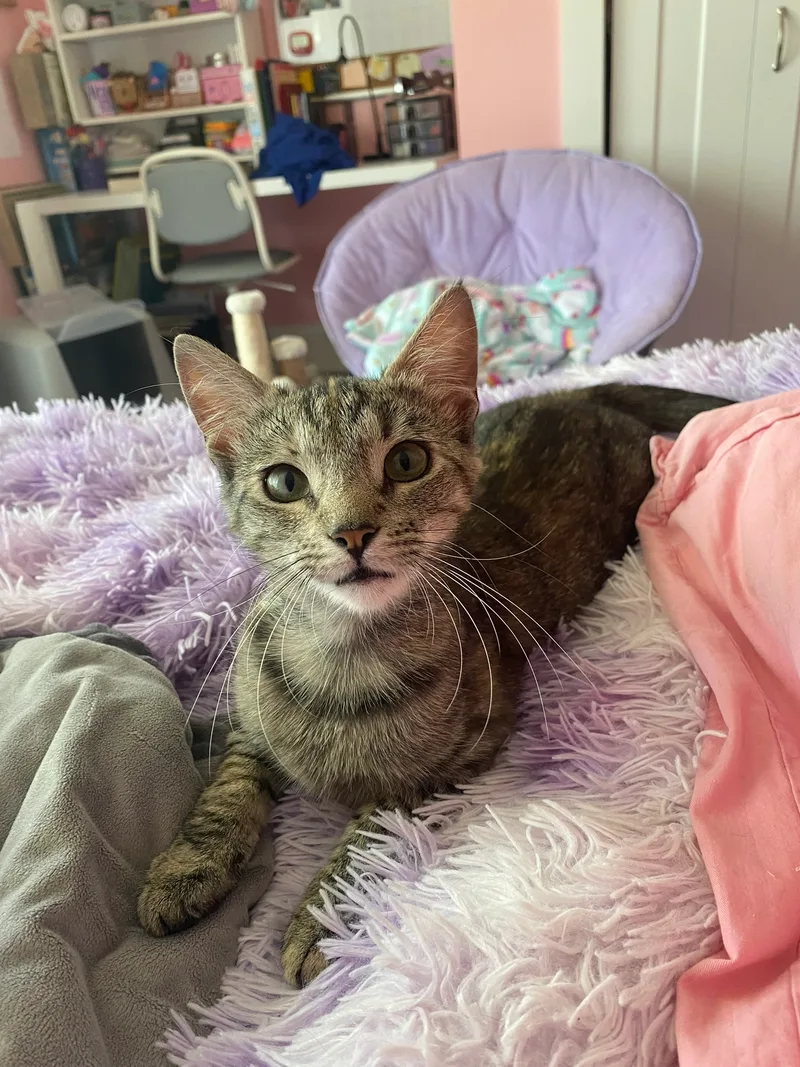 Charlene thumbnail 5