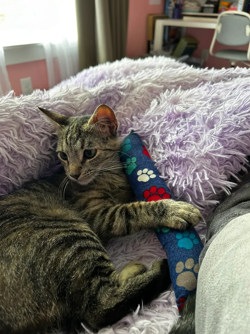 Charlene thumbnail 6