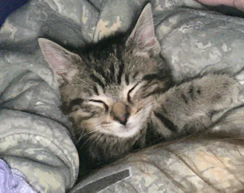 Starla & Mordecai & thumbnail 3