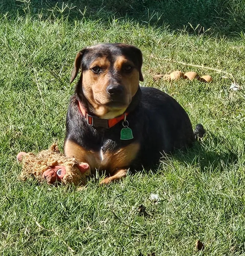 Iris Lou thumbnail 3