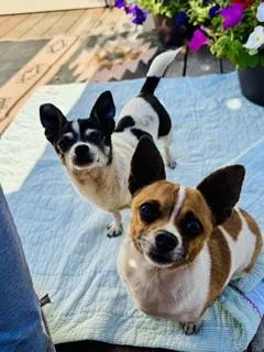 Mellie And Princess
