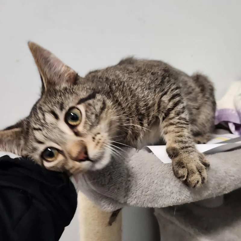 Ernie thumbnail 2