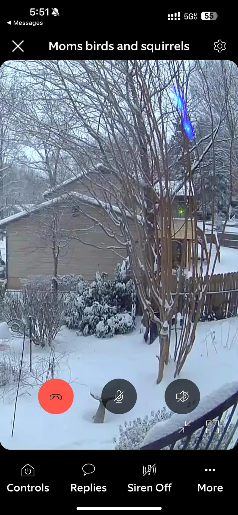 Bb Bad Bunny thumbnail 3