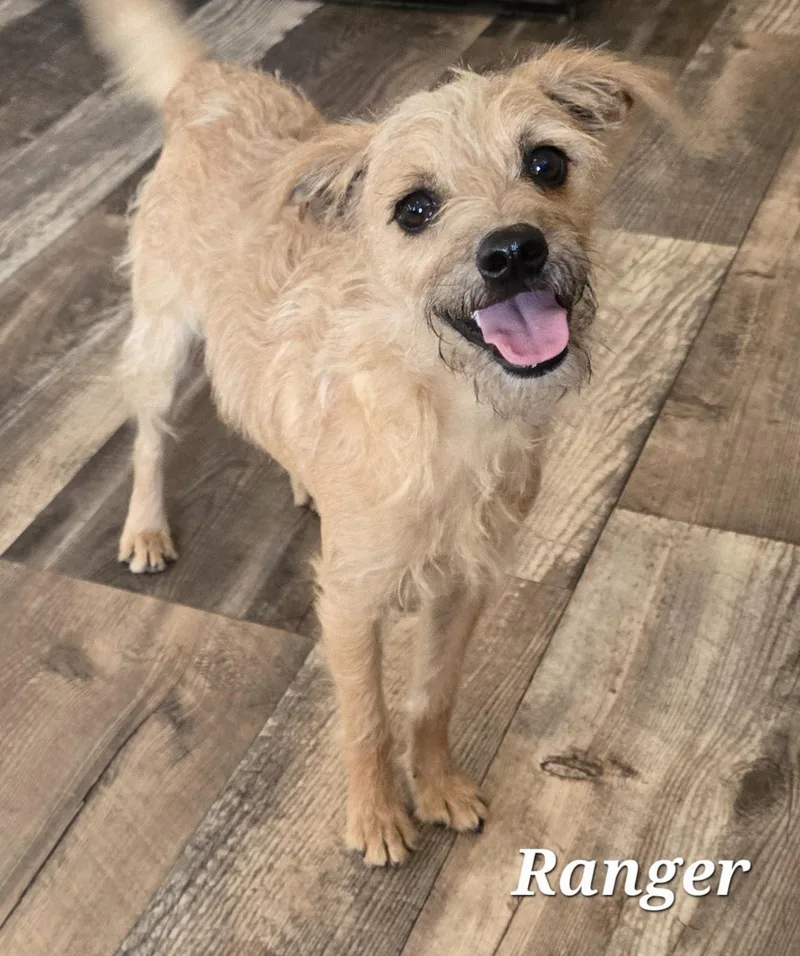 Ranger