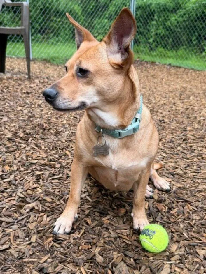 Penney thumbnail 4
