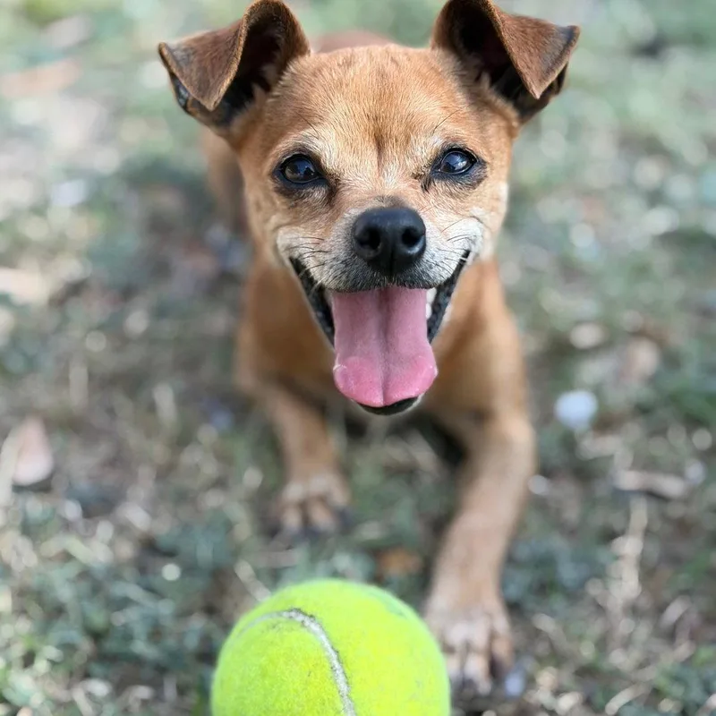 Ella Gch thumbnail 2