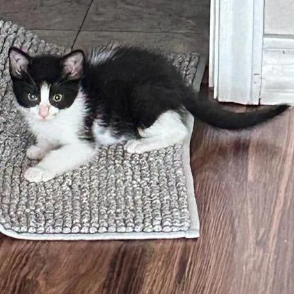 Tux