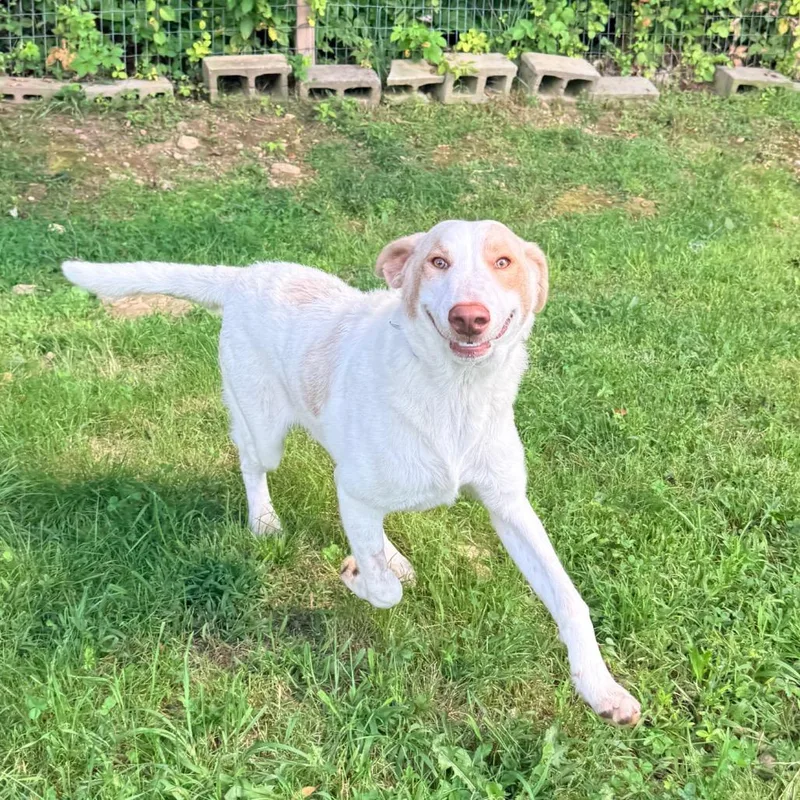 CT Urkel thumbnail 3
