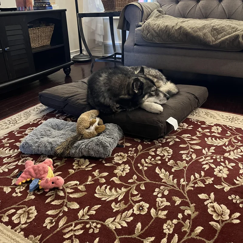 Blessing thumbnail 3