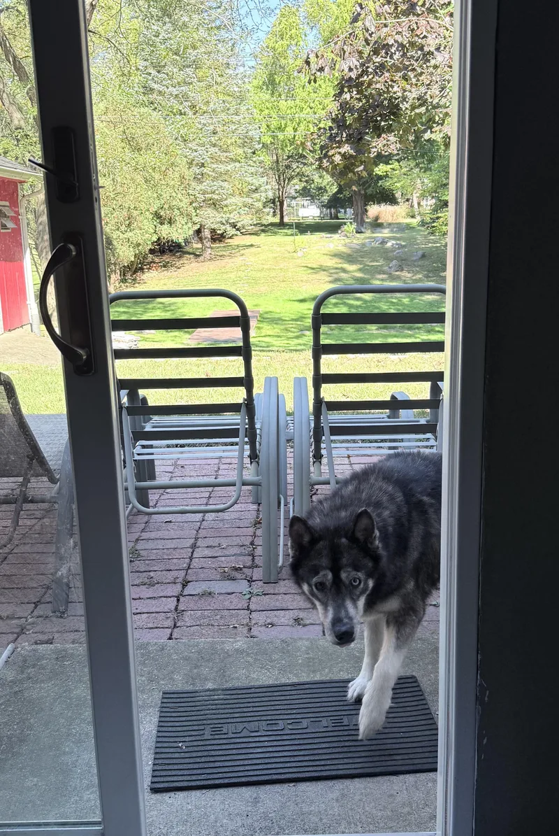 Blessing thumbnail 4