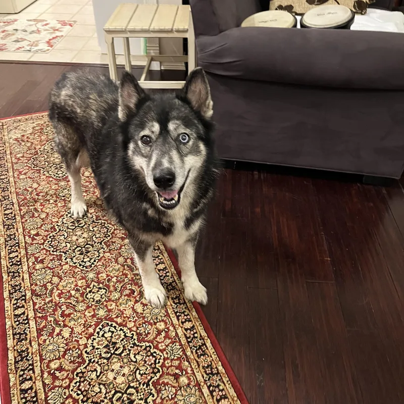 Blessing thumbnail 5