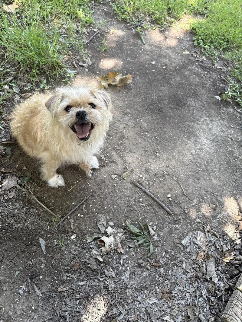 Heidi