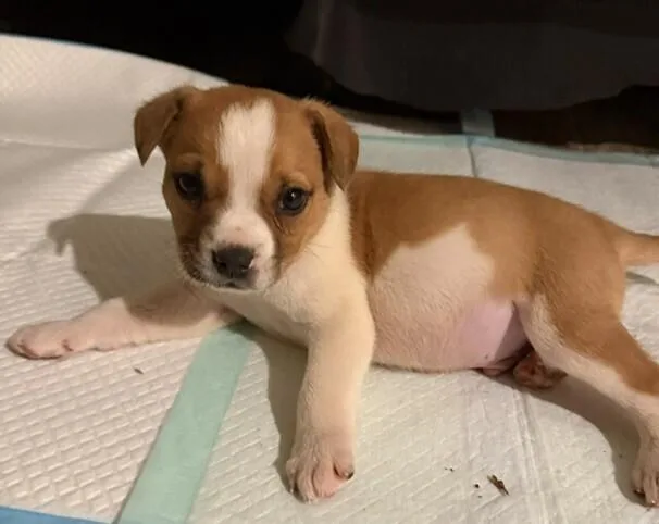 Baby Reed thumbnail 3