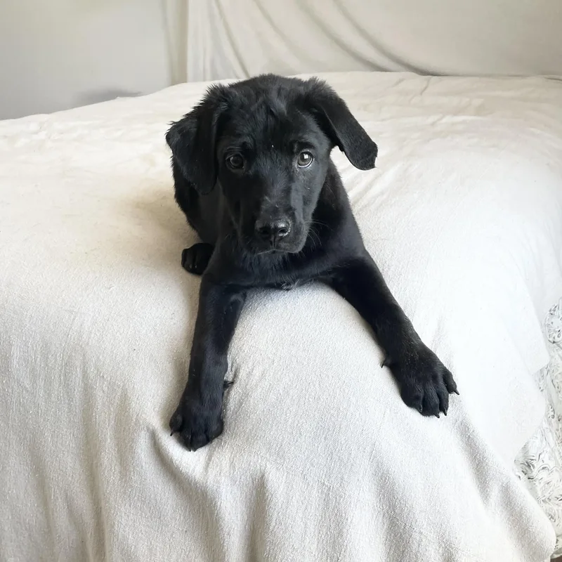 Mushy Tuck