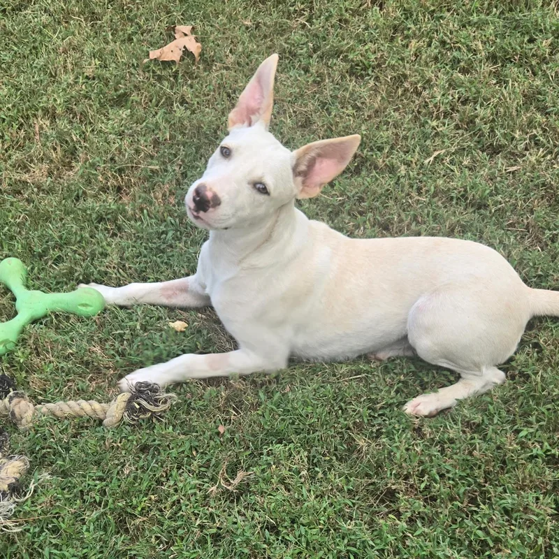 Casper thumbnail 2