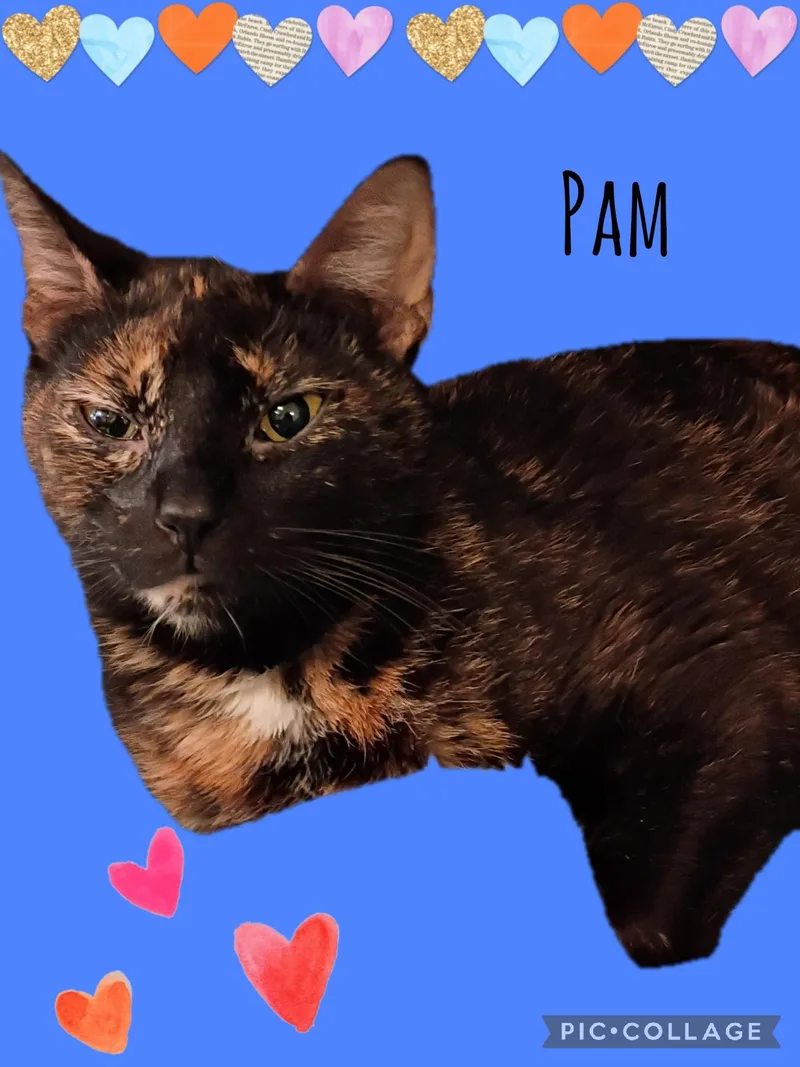 Pam