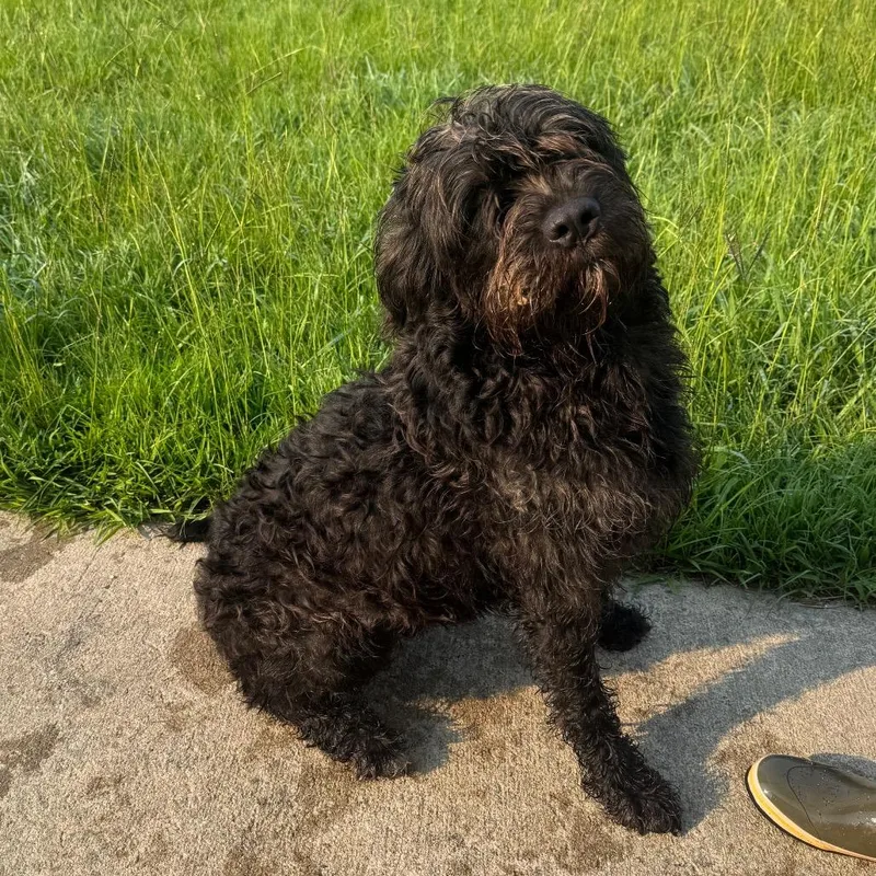 Mable