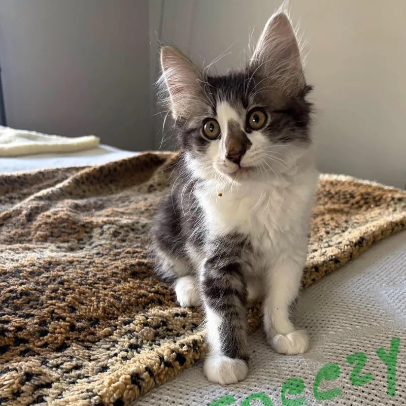 Sneezy