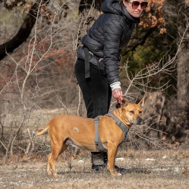 Clara Holiday thumbnail 2