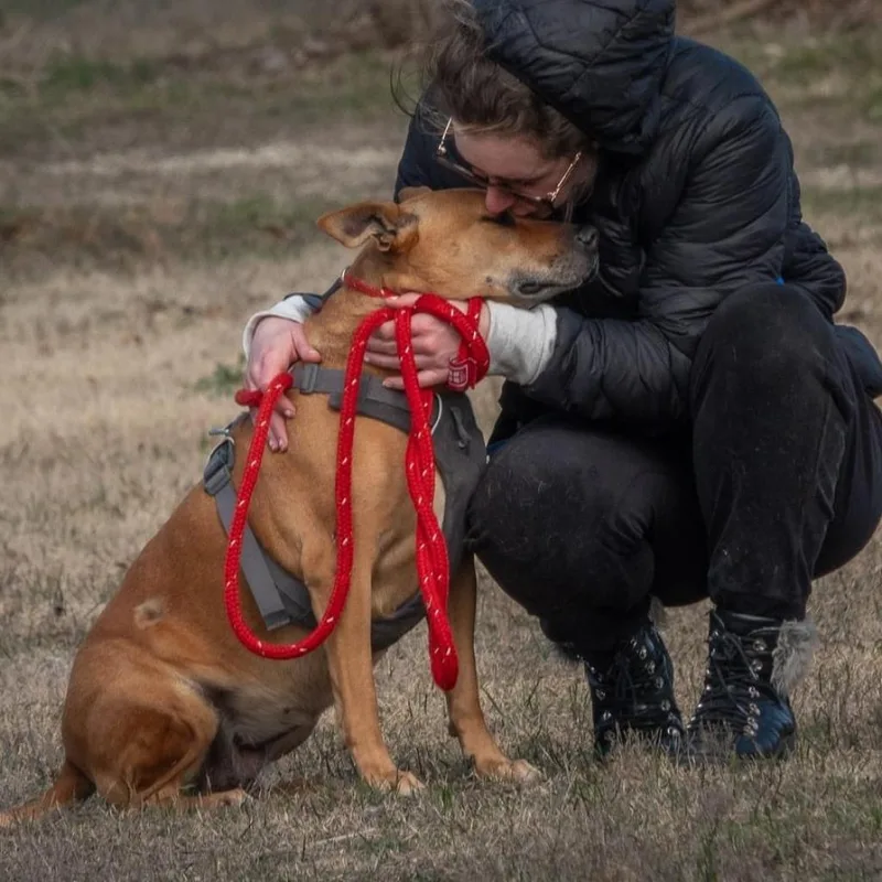 Clara Holiday thumbnail 4