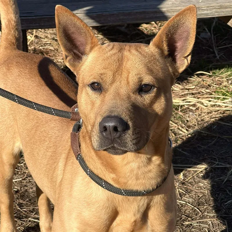 Mr. Whatsit thumbnail 2