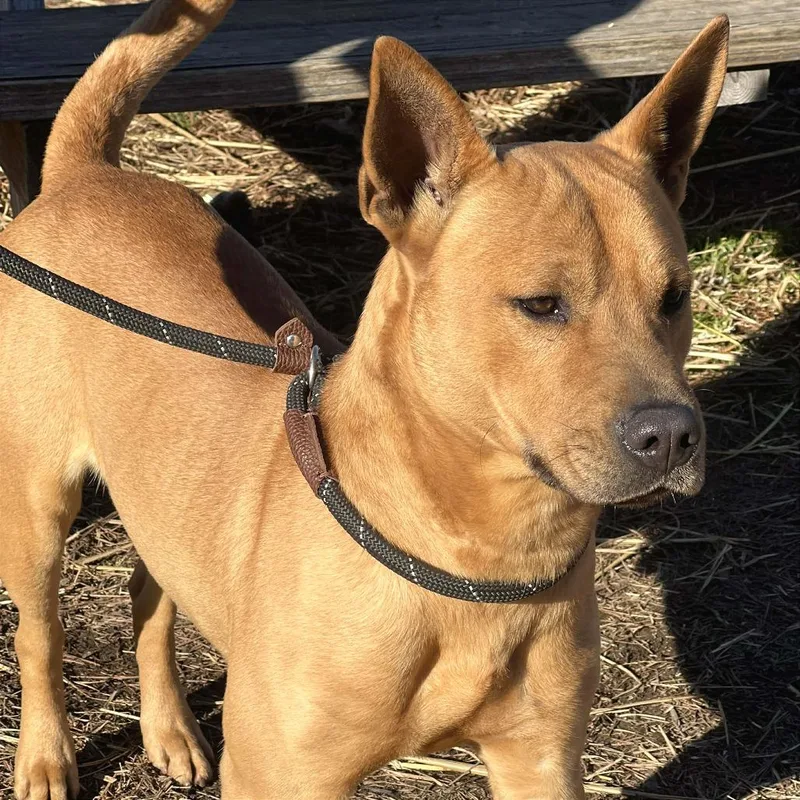 Mr. Whatsit thumbnail 3