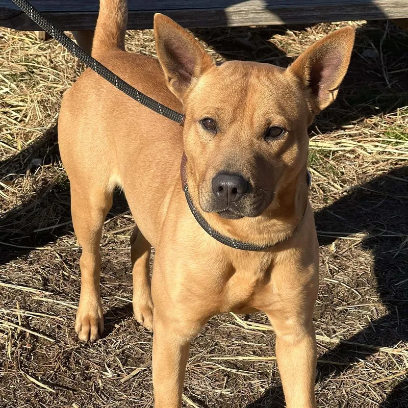 Mr. Whatsit thumbnail 4