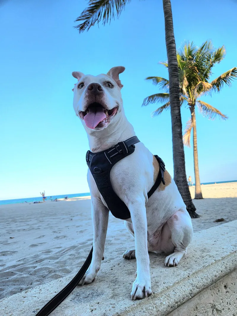 Marley thumbnail 2