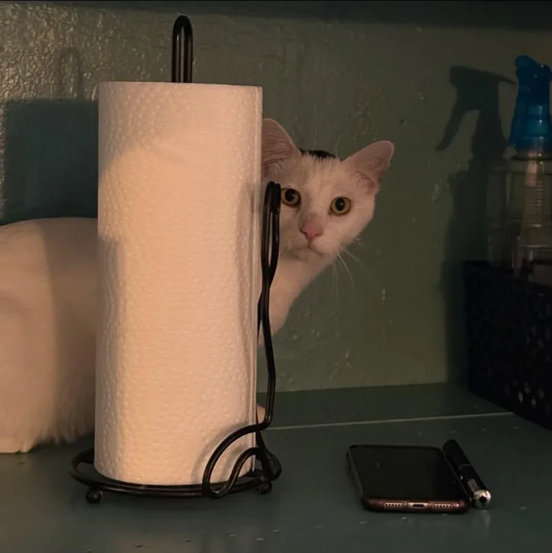 Dick Tracey thumbnail 3