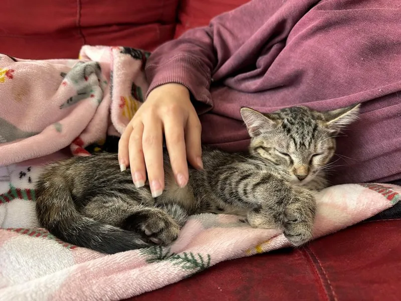 Maisy thumbnail 3