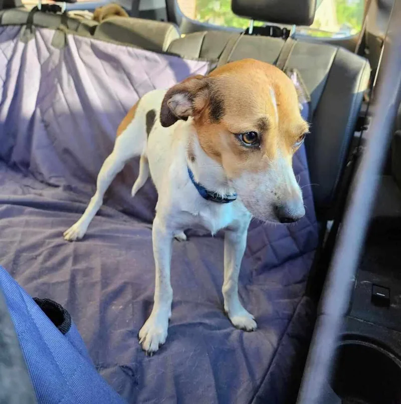 Tigger 💜 thumbnail 5