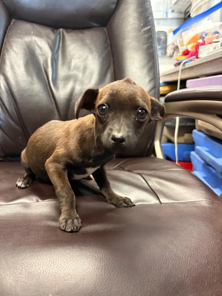 Highlighter thumbnail 2