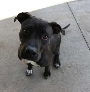 Callie May thumbnail 2