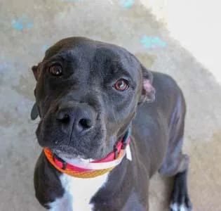 Callie May thumbnail 3