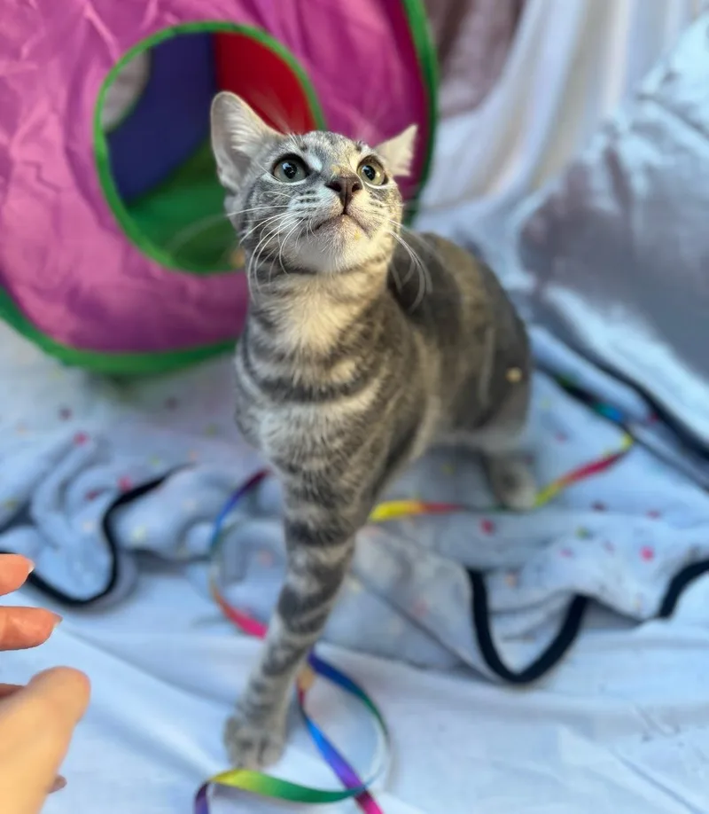 Jennifer Juniper thumbnail 2