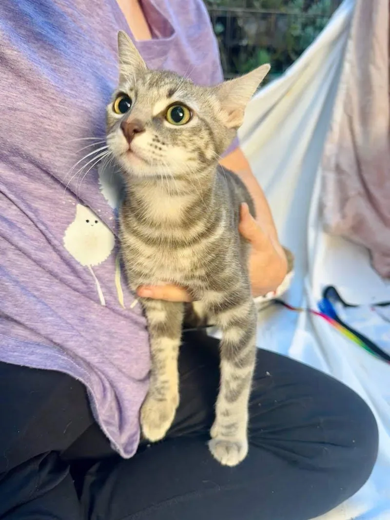 Jennifer Juniper thumbnail 3