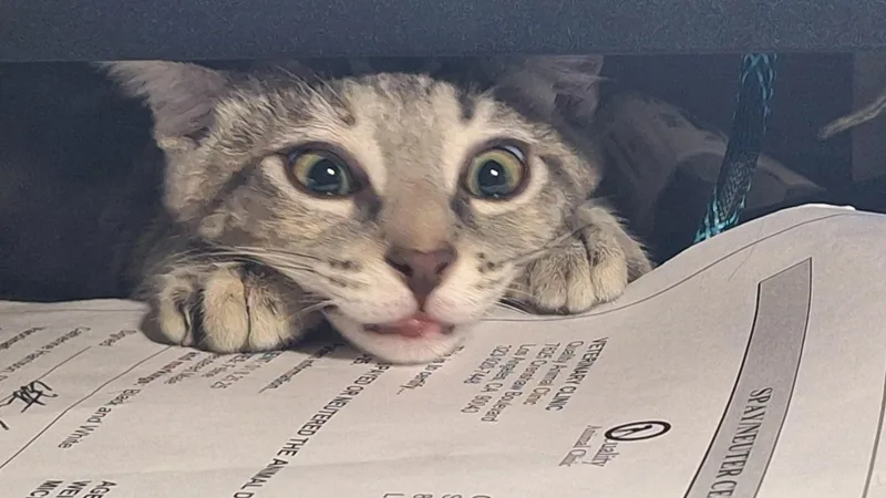 Jennifer Juniper thumbnail 4