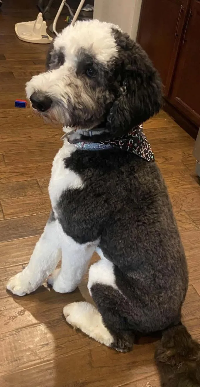 Franklin